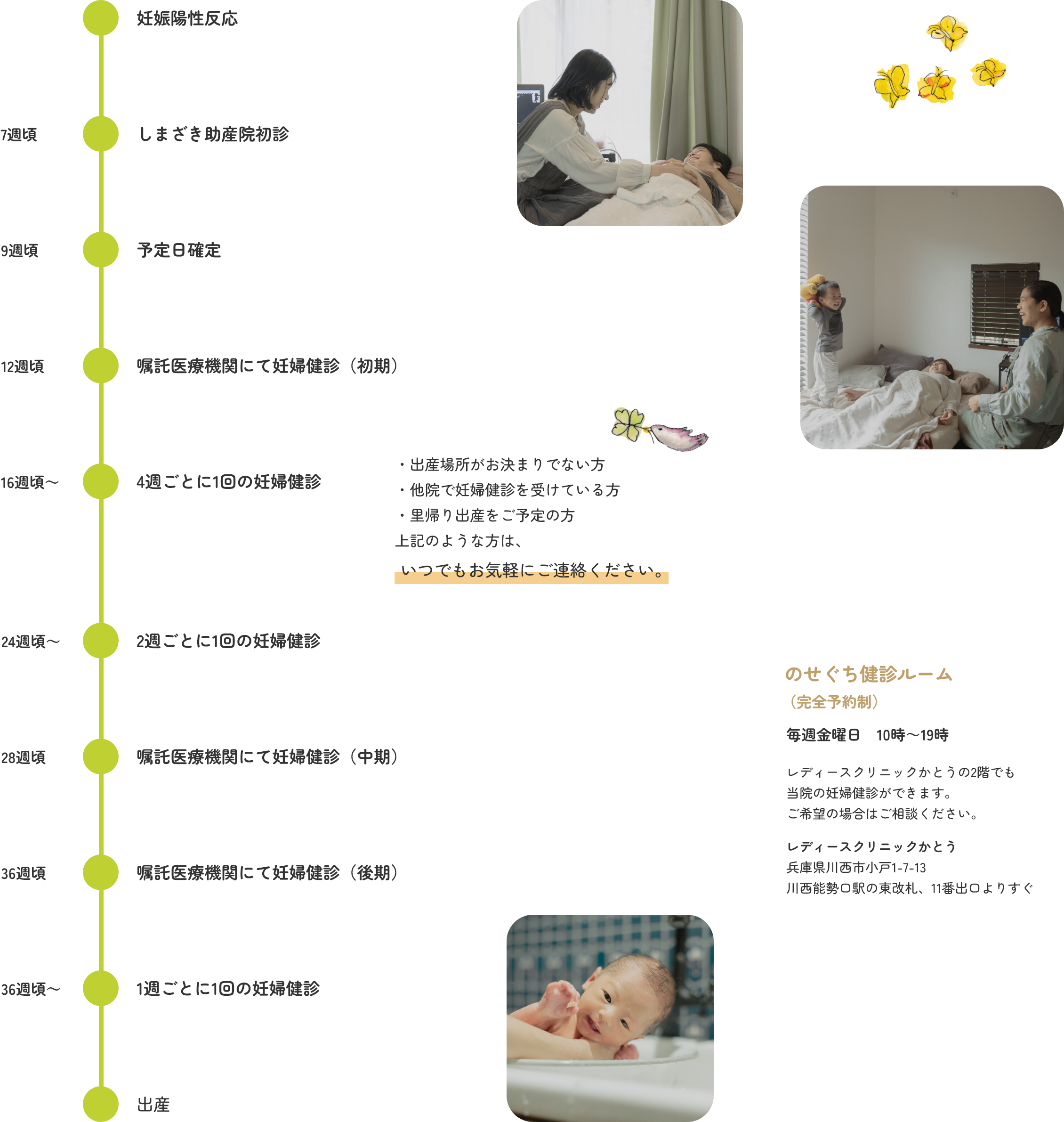 妊婦健診の流れ